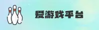 AYX | 爱游戏·官方网站